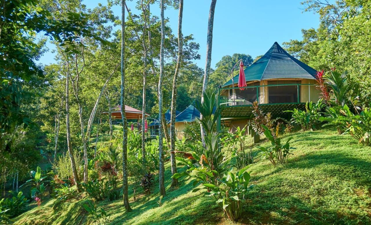 Manoas Bed & Breakfast Uvita Exterior photo