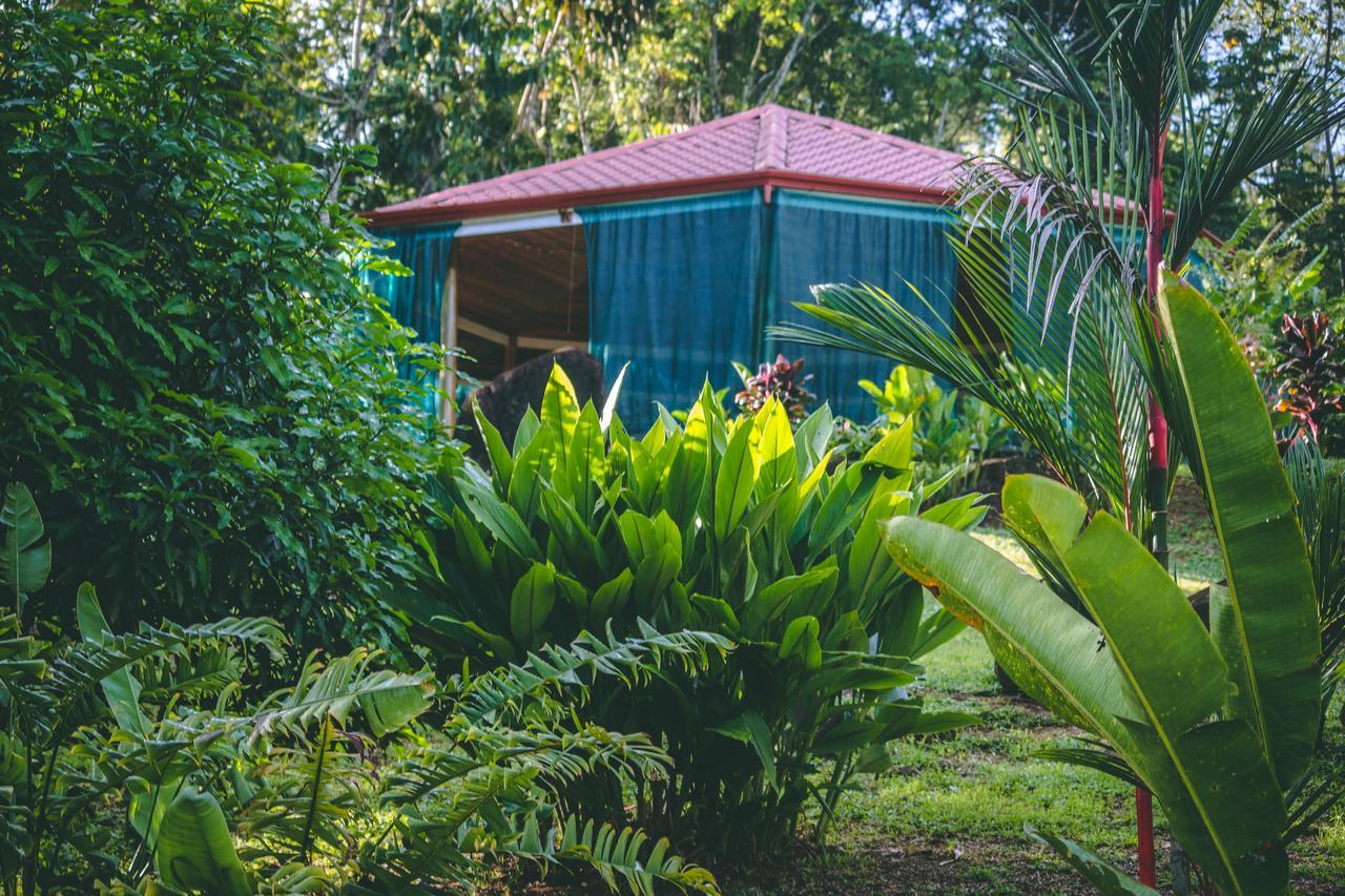 Manoas Bed & Breakfast Uvita Exterior photo